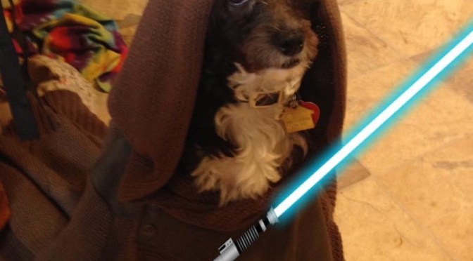 May the 4th Be With You