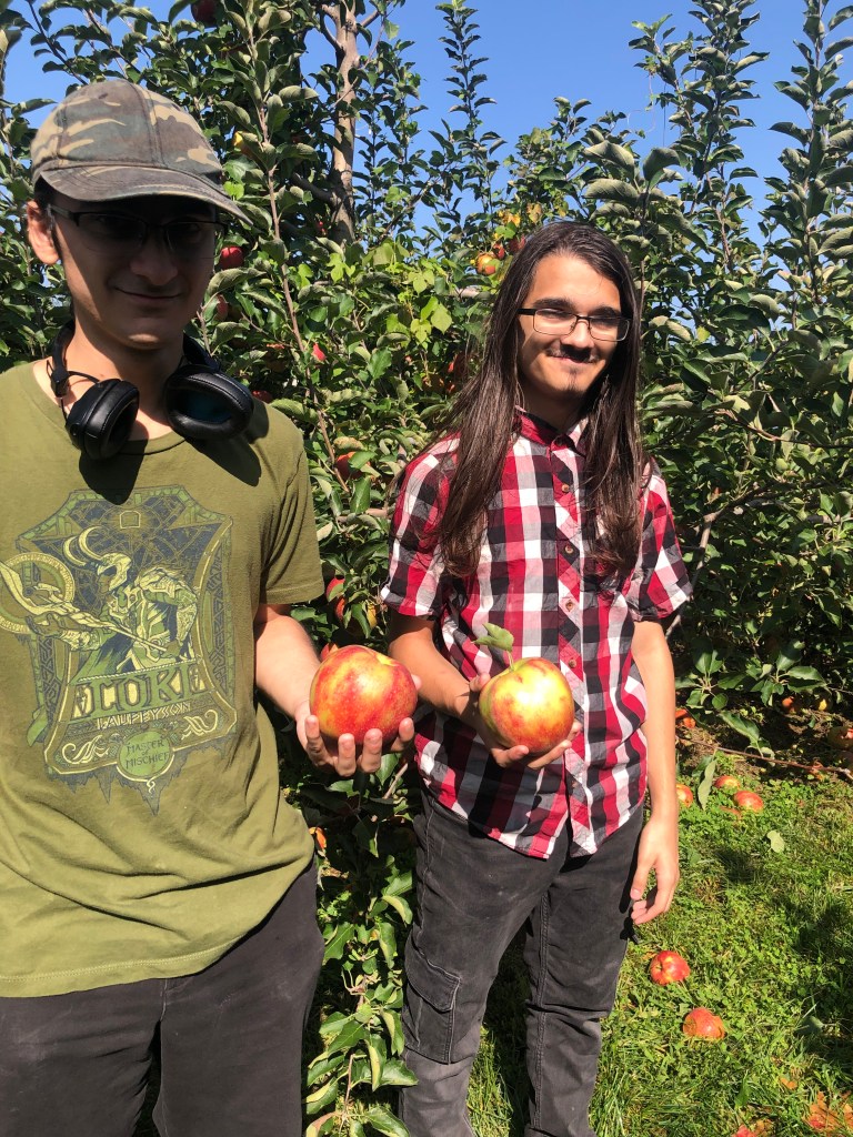 The boys found some tart looking apples-their favorites